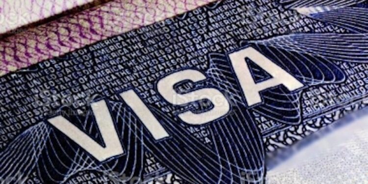Visa to invest $100 mn in generative AI companies