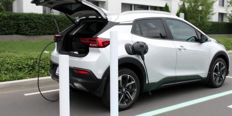 Electric Vehicles on the Road