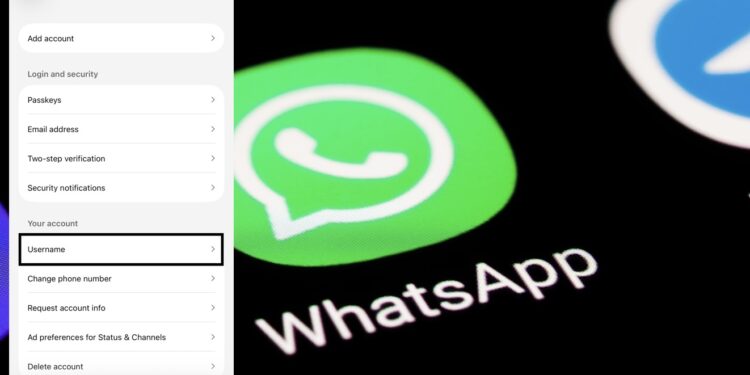 WhatsApp username India